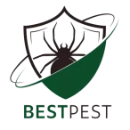 Best Pest